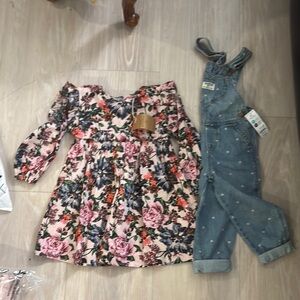 Floral Pink Dress sz 3 (NEXT) and Blue Denim jumpsuit Set sz 3 (Carter’s) SET